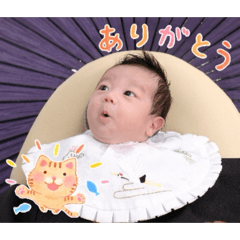 fareru._20260422220845