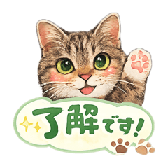 chiyo_20260422221948