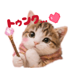 Totto_20260422221815