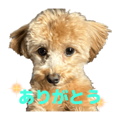 noelnonichijyo_20260422221622