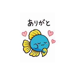 Cute Betta Harumaki-chan