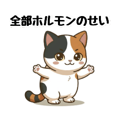 It's All the Hormones! Menopause Cat