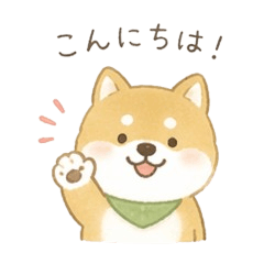 shibainu japanese hokkori
