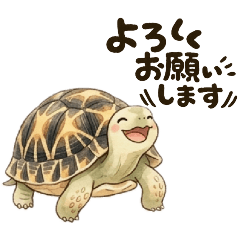 Tortoise_rejinohito_20260422213647
