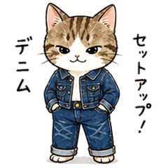 The daily life of a cat who loves denim
