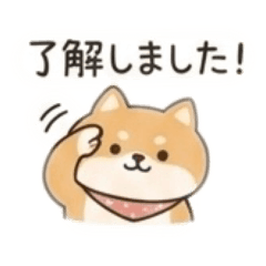 Sassy White Cat Friend_20260422211841