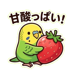 Nana Jodi_20260422214915