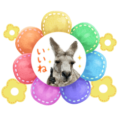 Cute & Chill Kangaroo Stickers