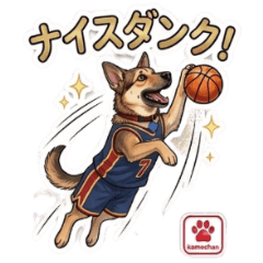 B-Ball Doggie: Go for it!