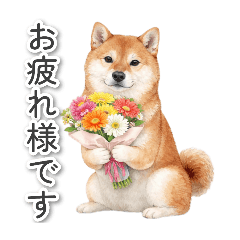 bannan_20260422222743