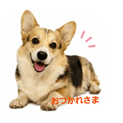 daimon_20260420000942