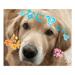 ASLAN ISAO_20260422234125