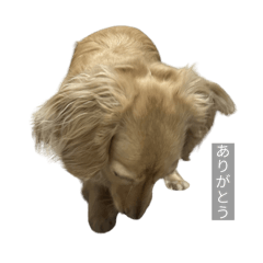 munimunsantasan_20260423003948