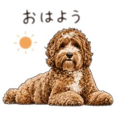 popola_20260423003853