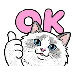 小可愛布偶貓日常：陪你每一天