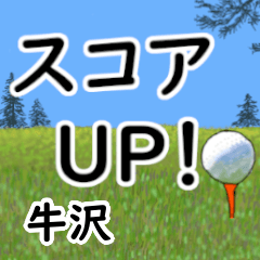Ushizawa'having fun golfing