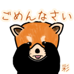 Irodori.Etc's lesser panda