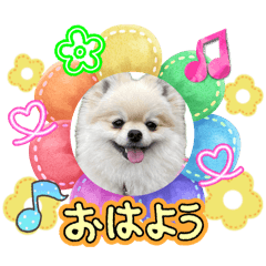 noritama_20260423