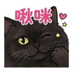 財寶一家*財財日常