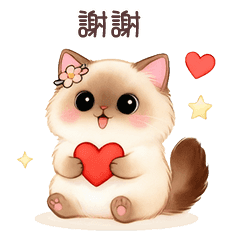 動態❤️❤️猫咪咪樂園❤️木木的快乐时光