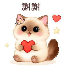 動態❤️❤️猫咪咪樂園❤️木木的快乐时光