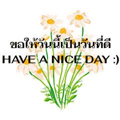 babyveggie_20260422164515