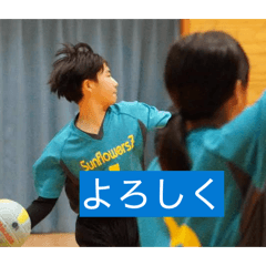 m syo_20260422190219