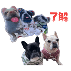 tomoe_20260422190222