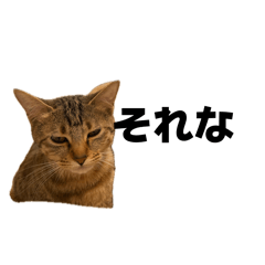 Noro7777_20260423001227