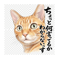 Tomoooo_20260422190151