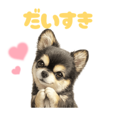 DOG STAMP ORDER_20260423090825