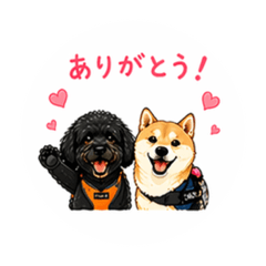 takahashi_20260423084113