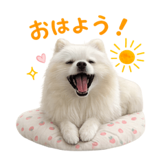 Malo Daily Stickers Vol.1