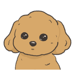 るりチわんころ