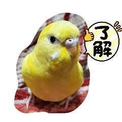 agp_20260422193753