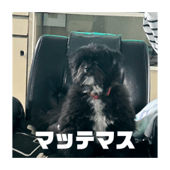 pichanon_20260422205025