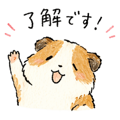 Moru-chan's Daily Stickers