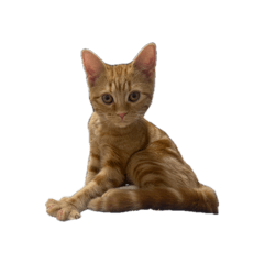 Locomotive_20260423020327