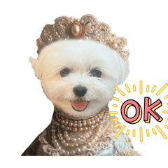 shiratama_20260423103538