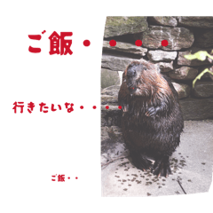 taisuke24_20260423105922