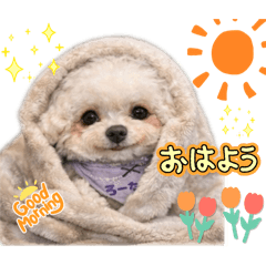 miyon_20260423103816