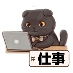 mikaneko_20260423110413