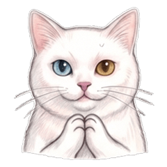 Yuki我的貓-日常用語篇