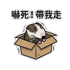 蛋頭汪：瘋狂日常！情緒大爆發