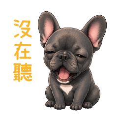 Oreo_French Bulldog