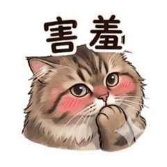 財寶一家*比比日常