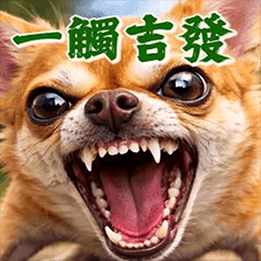 吉娃娃激動問候動圖 1