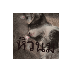 koon mun ja_20260422154121