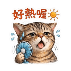 肥仔仔癢癢日常