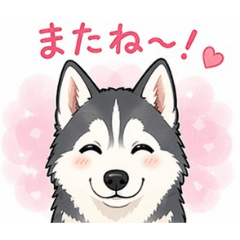 TaCtO_20260423063058